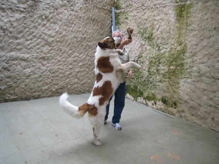 Fofão brincando com o Celso tio do Léo